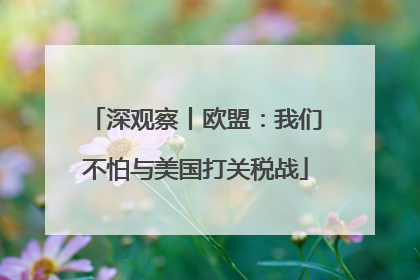 深观察丨欧盟：我们不怕与美国打关税战