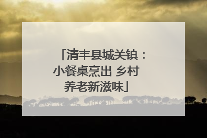 清丰县城关镇：小餐桌烹出 乡村养老新滋味