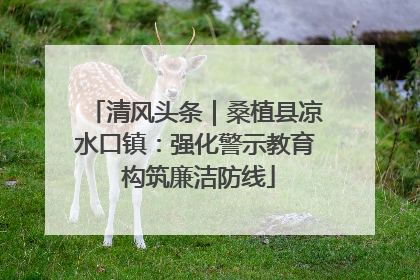 清风头条｜桑植县凉水口镇：强化警示教育 构筑廉洁防线