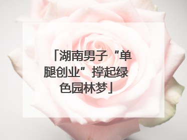 湖南男子“单腿创业”撑起绿色园林梦