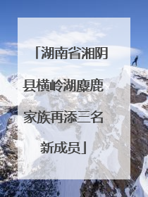 湖南省湘阴县横岭湖麋鹿家族再添三名新成员