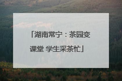 湖南常宁：茶园变课堂 学生采茶忙