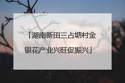 湖南新田三占塘村金银花产业兴旺促振兴