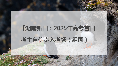 湖南新田：2025年高考首日 考生自信步入考场（组图）
