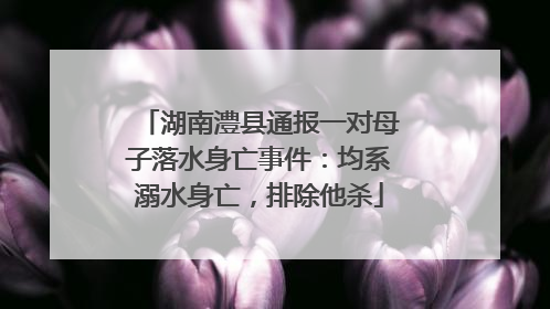 湖南澧县通报一对母子落水身亡事件：均系溺水身亡，排除他杀