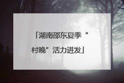 湖南邵东夏季“村晚”活力迸发