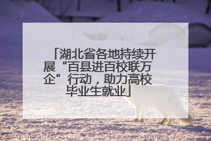 湖北省各地持续开展“百县进百校联万企”行动，助力高校毕业生就业
