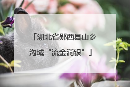 湖北省郧西县山乡沟域“流金淌银”