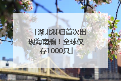 湖北秭归首次出现海南鳽！全球仅存1000只