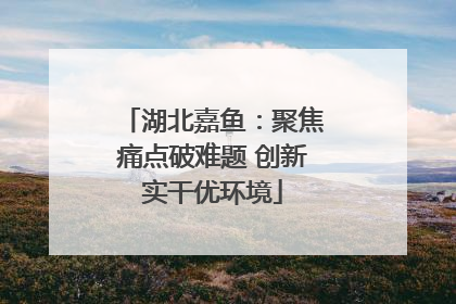 湖北嘉鱼：聚焦痛点破难题 创新实干优环境