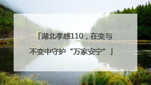 湖北孝感110，在变与不变中守护“万家安宁”