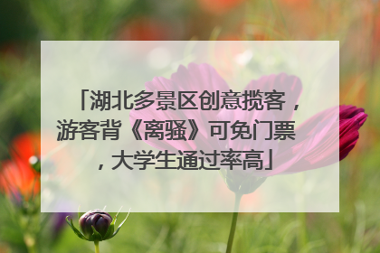 湖北多景区创意揽客，游客背《离骚》可免门票，大学生通过率高