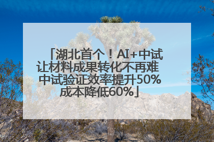 湖北首个！AI+中试让材料成果转化不再难 中试验证效率提升50%成本降低60%