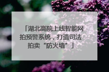 湖北高院上线智能网拍预警系统，打造司法拍卖“防火墙”