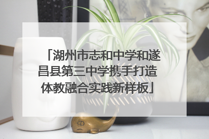 湖州市志和中学和遂昌县第三中学携手打造体教融合实践新样板