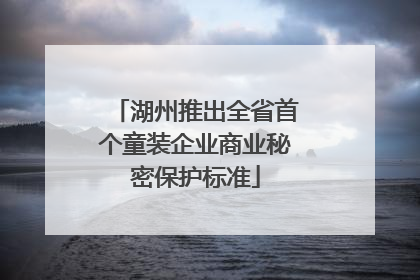 湖州推出全省首个童装企业商业秘密保护标准