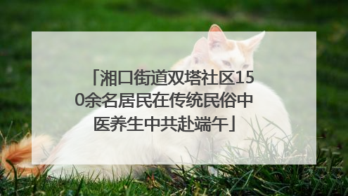 湘口街道双塔社区150余名居民在传统民俗中医养生中共赴端午