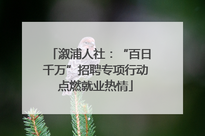 溆浦人社：“百日千万”招聘专项行动点燃就业热情
