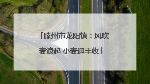 滕州市龙阳镇：风吹麦浪起 小麦迎丰收