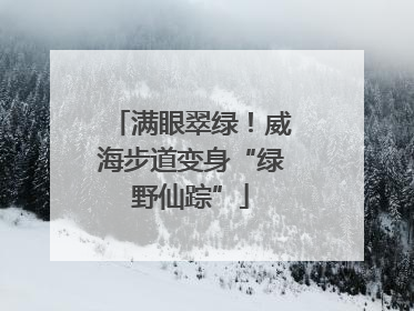 满眼翠绿！威海步道变身“绿野仙踪”