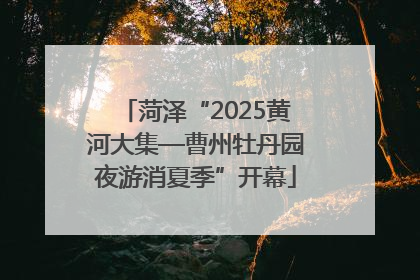 菏泽“2025黄河大集—曹州牡丹园夜游消夏季”开幕