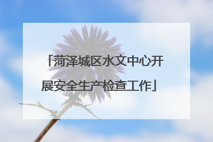 菏泽城区水文中心开展安全生产检查工作