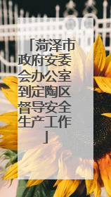 菏泽市政府安委会办公室到定陶区督导安全生产工作