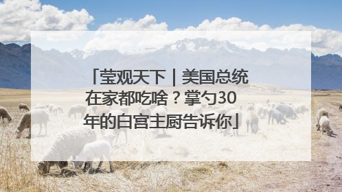 莹观天下｜美国总统在家都吃啥？掌勺30年的白宫主厨告诉你