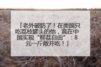 老外破防了！在美国只吃荔枝罐头的他，竟在中国实现“鲜荔自由”：8元一斤敞开吃！