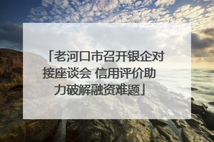 老河口市召开银企对接座谈会 信用评价助力破解融资难题