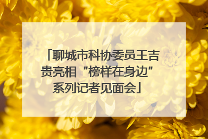 聊城市科协委员王吉贵亮相“榜样在身边”系列记者见面会