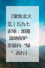 聚焦北大荒｜五九七农场：加强湿地保护 发展向“绿”而行