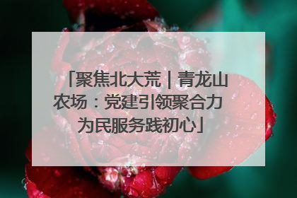聚焦北大荒｜青龙山农场：党建引领聚合力 为民服务践初心
