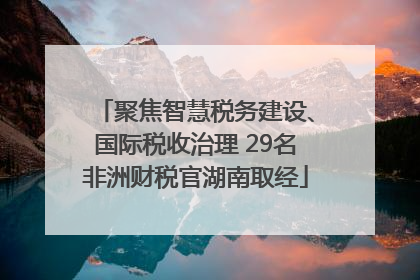 聚焦智慧税务建设、国际税收治理 29名非洲财税官湖南取经