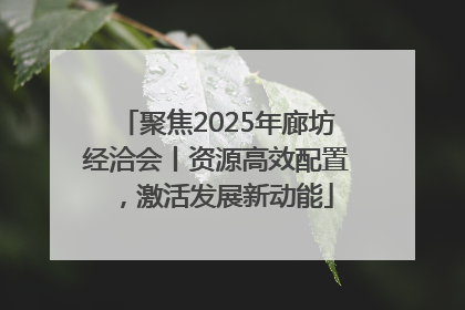聚焦2025年廊坊经洽会丨资源高效配置，激活发展新动能