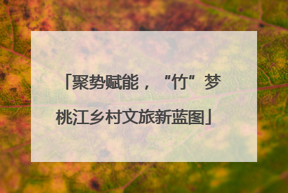 聚势赋能，“竹”梦桃江乡村文旅新蓝图