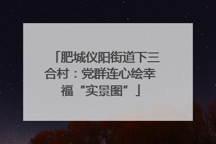 肥城仪阳街道下三合村：党群连心绘幸福“实景图”