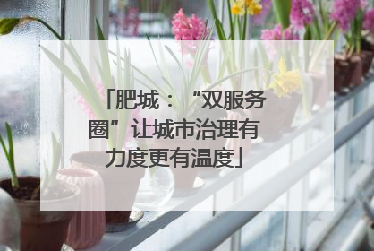 肥城：“双服务圈”让城市治理有力度更有温度
