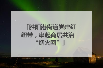 胜阳港街道党建红纽带，串起商居共治 “烟火圈”