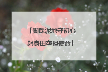 脚踩泥地守初心 躬身田垄担使命