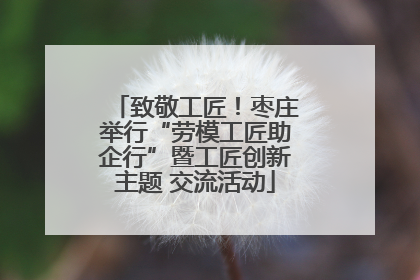 致敬工匠！枣庄举行“劳模工匠助企行”暨工匠创新主题 交流活动
