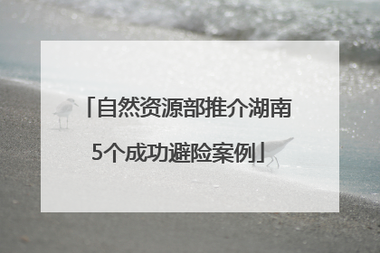 自然资源部推介湖南5个成功避险案例