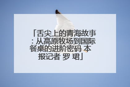 舌尖上的青海故事：从高原牧场到国际餐桌的进阶密码 本报记者 罗 珺