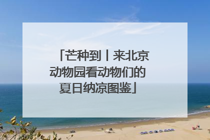 芒种到丨来北京动物园看动物们的夏日纳凉图鉴