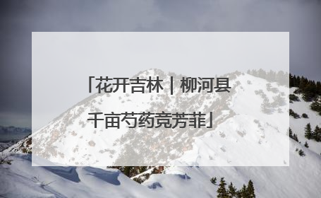 花开吉林｜柳河县千亩芍药竞芳菲