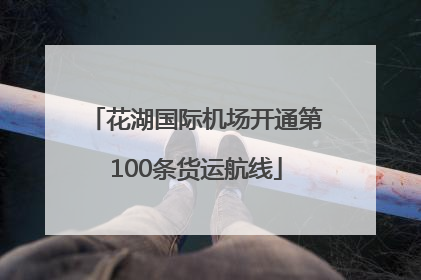 花湖国际机场开通第100条货运航线