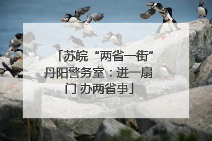 苏皖“两省一街”丹阳警务室：进一扇门 办两省事