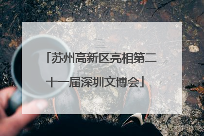 苏州高新区亮相第二十一届深圳文博会