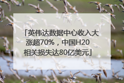 英伟达数据中心收入大涨超70%，中国H20相关损失达80亿美元