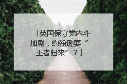 英国保守党内斗加剧，约翰逊要“王者归来”？